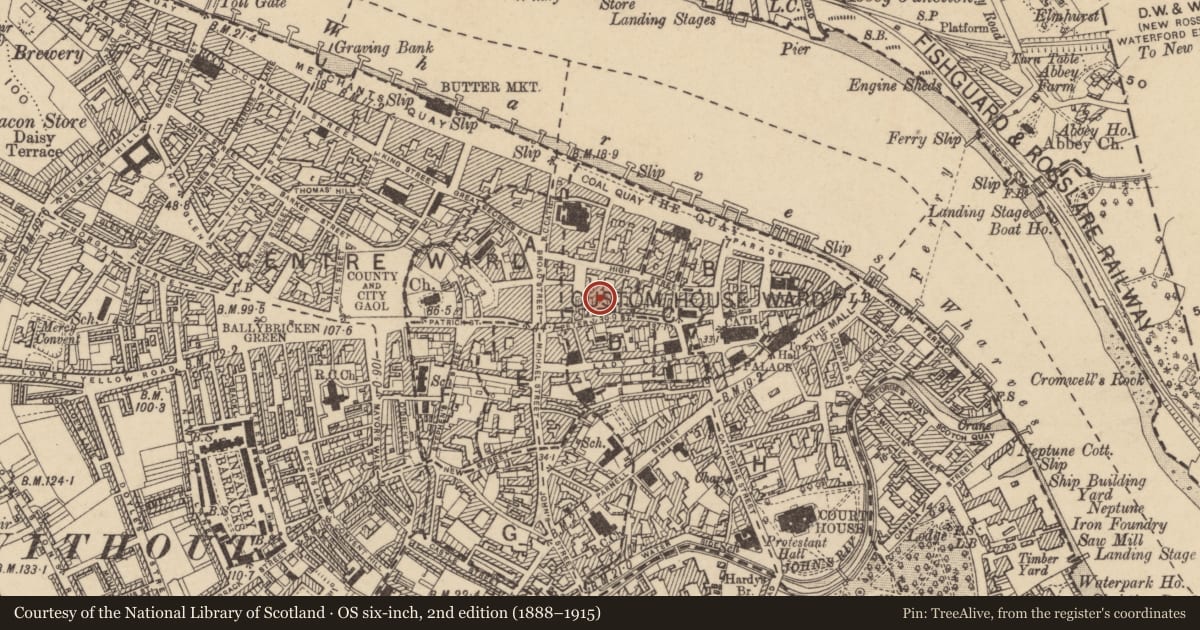 Ordnance Survey six-inch map, 2nd edition (1888–1915) covering the location of House - medieval, Waterford City, County Waterford, with a pin at the register's coordinates