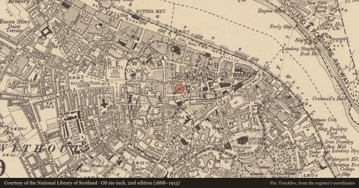 Ordnance Survey six-inch map, 2nd edition (1888–1915) covering the location of House - medieval, Waterford City, County Waterford, with a pin at the register's coordinates