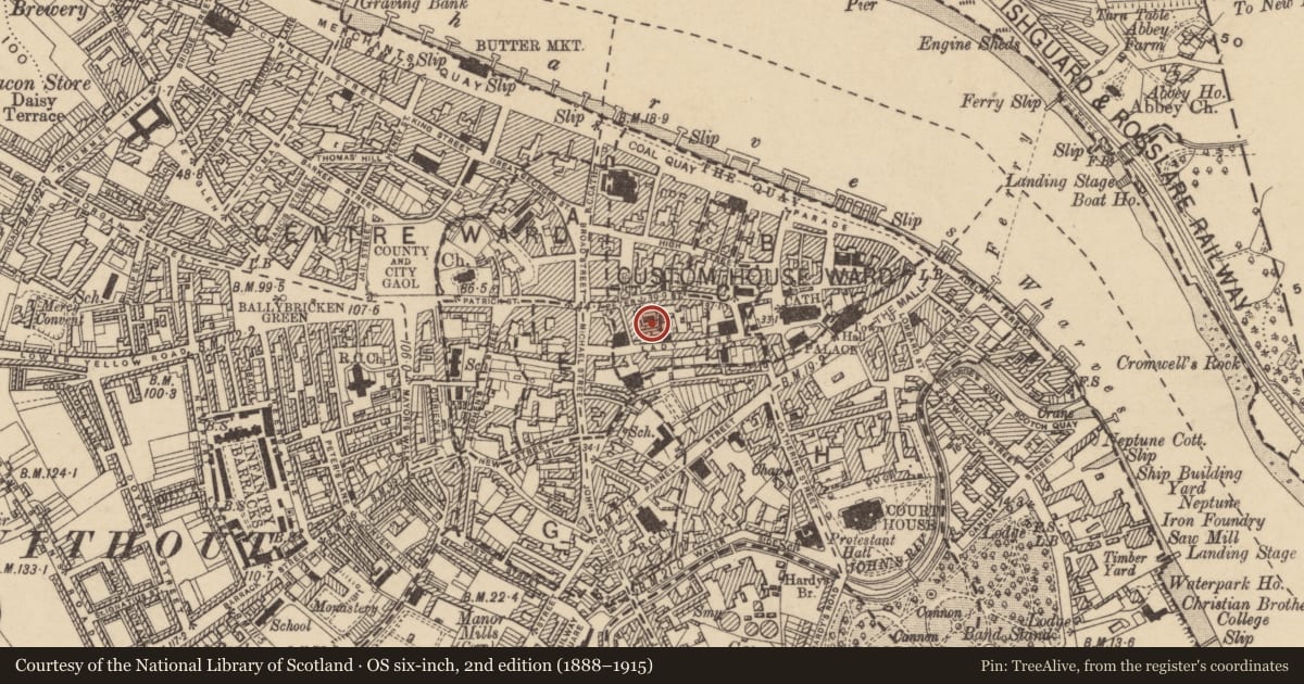 Ordnance Survey six-inch map, 2nd edition (1888–1915) covering the location of House - medieval, Waterford City, County Waterford, with a pin at the register's coordinates