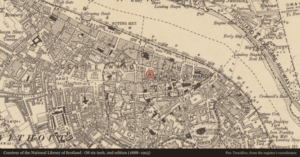 Ordnance Survey six-inch map, 2nd edition (1888–1915) covering the location of House - medieval, Waterford City, County Waterford, with a pin at the register's coordinates