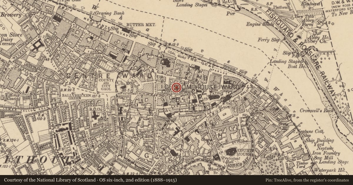 Ordnance Survey six-inch map, 2nd edition (1888–1915) covering the location of Excavation - miscellaneous, Waterford City, County Waterford, with a pin at the register's coordinates