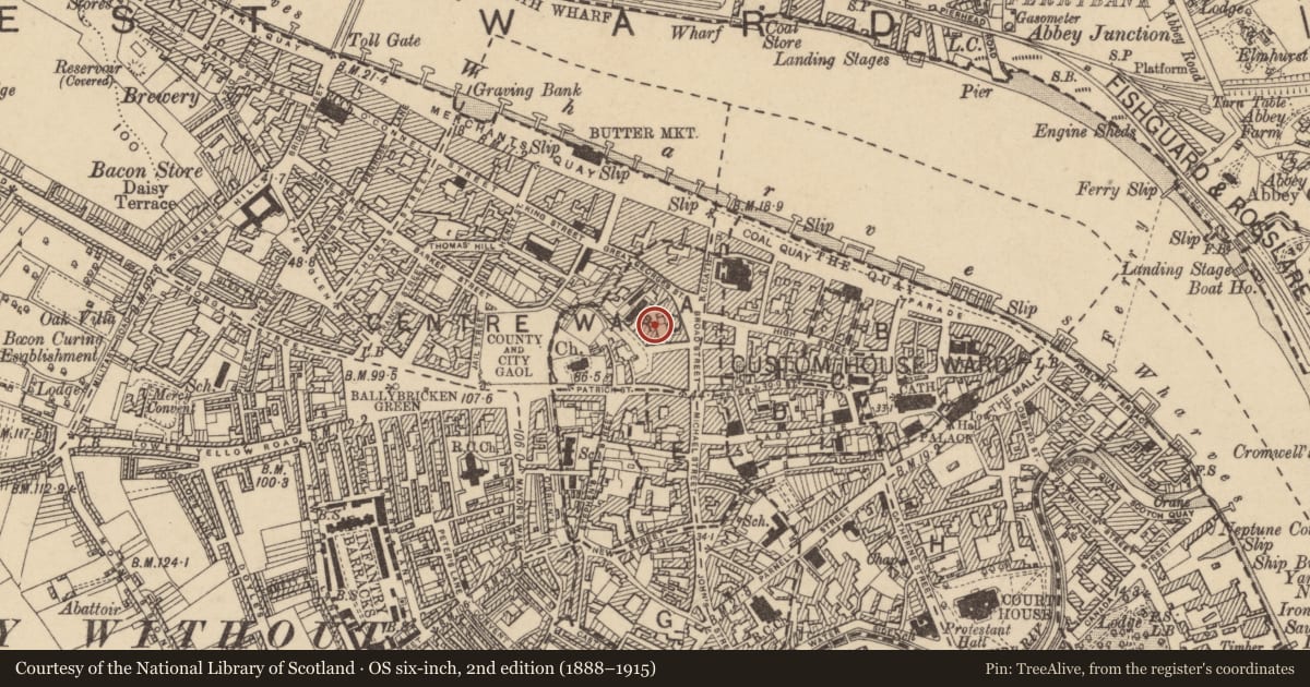 Ordnance Survey six-inch map, 2nd edition (1888–1915) covering the location of Habitation site, Waterford City, County Waterford, with a pin at the register's coordinates