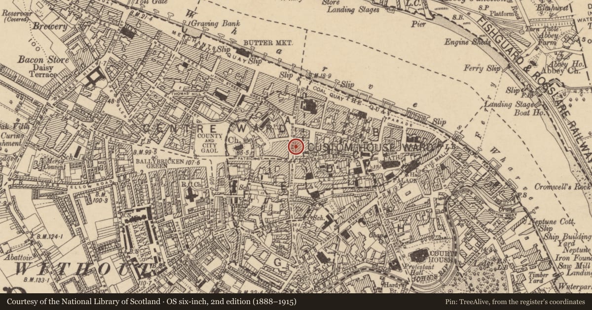 Ordnance Survey six-inch map, 2nd edition (1888–1915) covering the location of House - medieval, Waterford City, County Waterford, with a pin at the register's coordinates