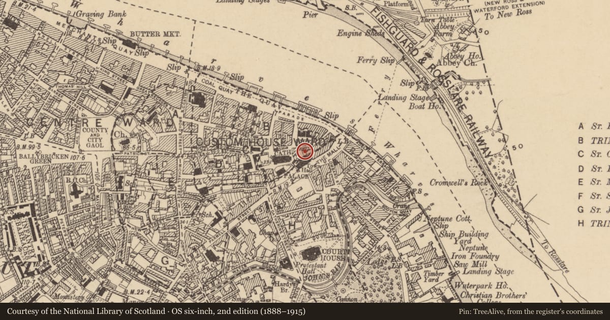 Ordnance Survey six-inch map, 2nd edition (1888–1915) covering the location of Linear earthwork, Waterford City, County Waterford, with a pin at the register's coordinates
