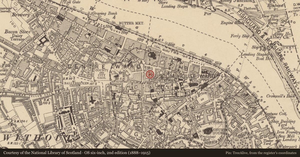 Ordnance Survey six-inch map, 2nd edition (1888–1915) covering the location of House - medieval, Waterford City, County Waterford, with a pin at the register's coordinates