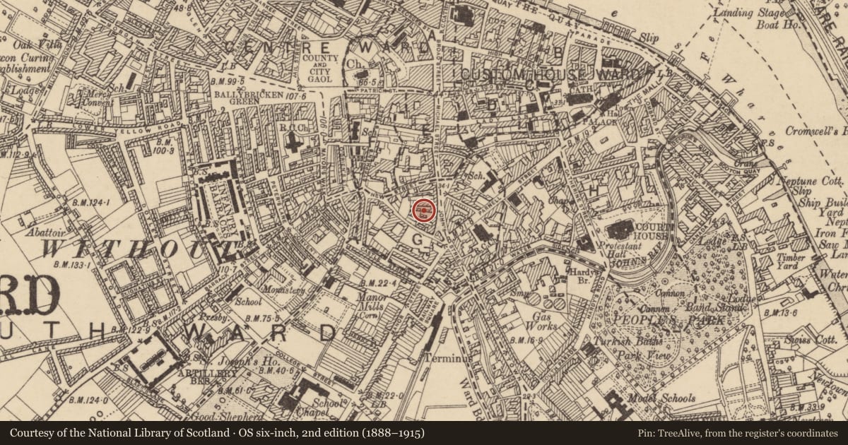 Ordnance Survey six-inch map, 2nd edition (1888–1915) covering the location of Excavation - miscellaneous, Waterford City, County Waterford, with a pin at the register's coordinates