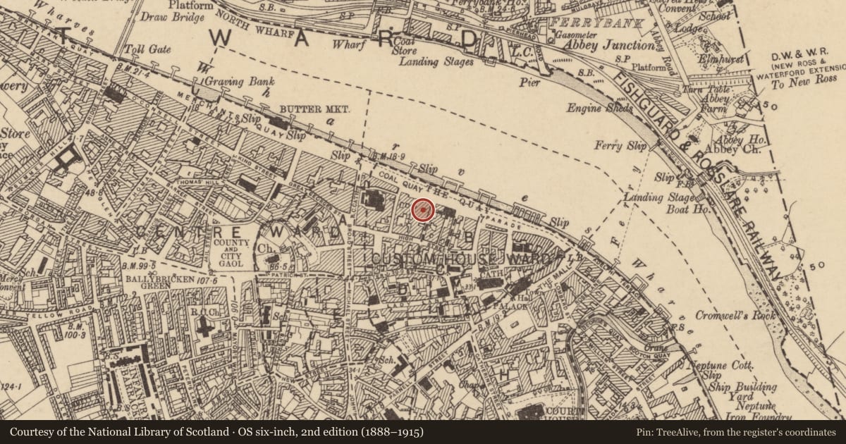 Ordnance Survey six-inch map, 2nd edition (1888–1915) covering the location of Building, Waterford City, County Waterford, with a pin at the register's coordinates