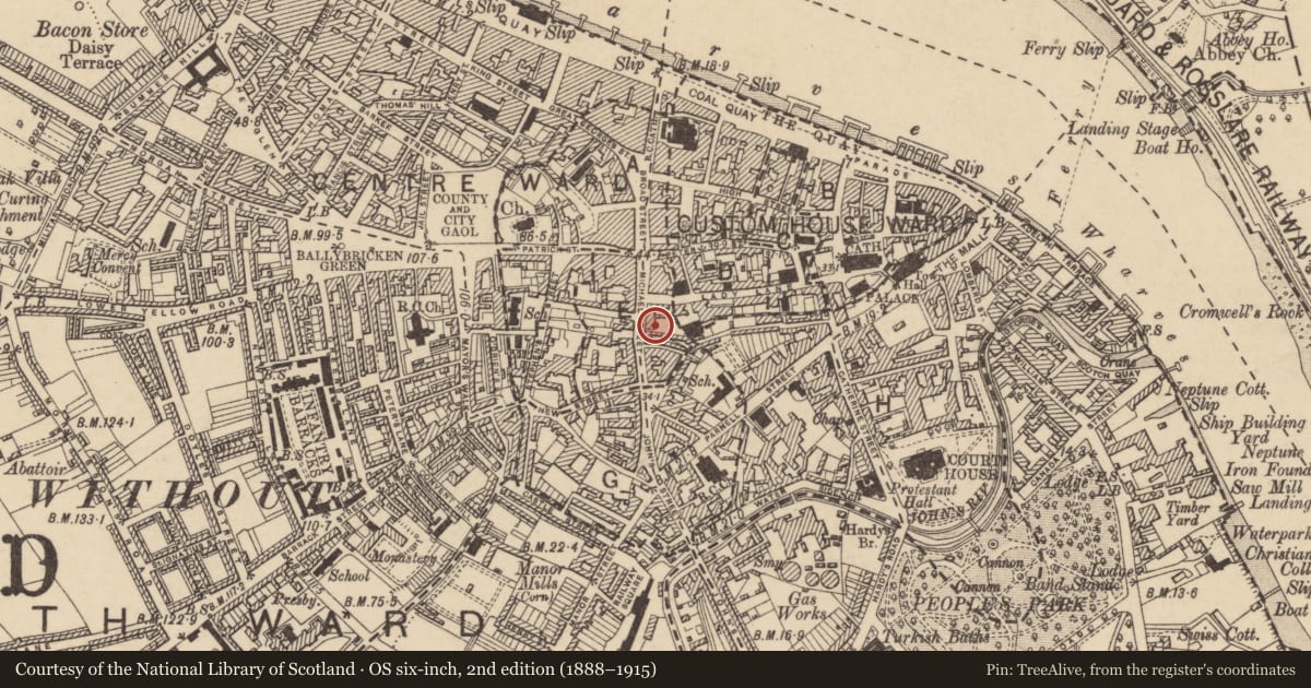 Ordnance Survey six-inch map, 2nd edition (1888–1915) covering the location of Graveyard, Waterford City, County Waterford, with a pin at the register's coordinates