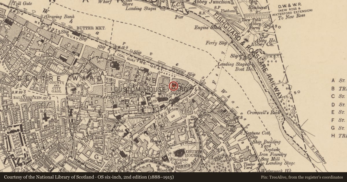 Ordnance Survey six-inch map, 2nd edition (1888–1915) covering the location of Armorial plaque, Waterford City, County Waterford, with a pin at the register's coordinates