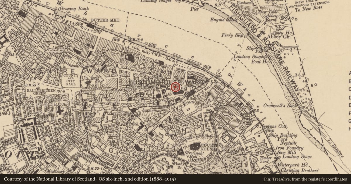 Ordnance Survey six-inch map, 2nd edition (1888–1915) covering the location of Graveyard, Waterford City, County Waterford, with a pin at the register's coordinates