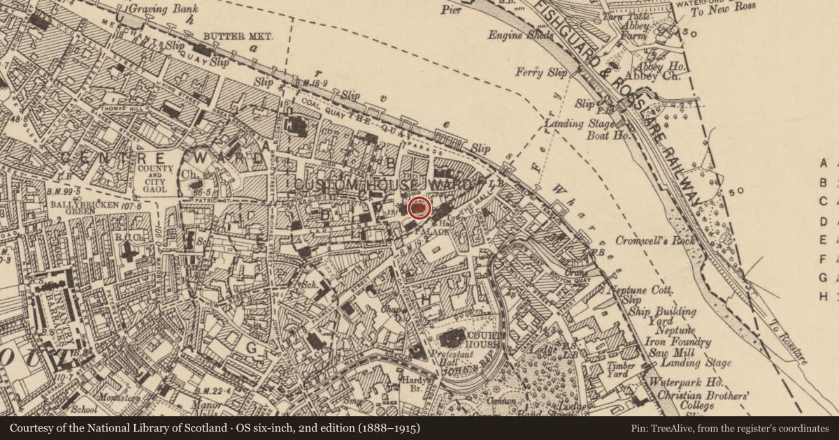 Ordnance Survey six-inch map, 2nd edition (1888–1915) covering the location of Graveslab, Waterford City, County Waterford, with a pin at the register's coordinates