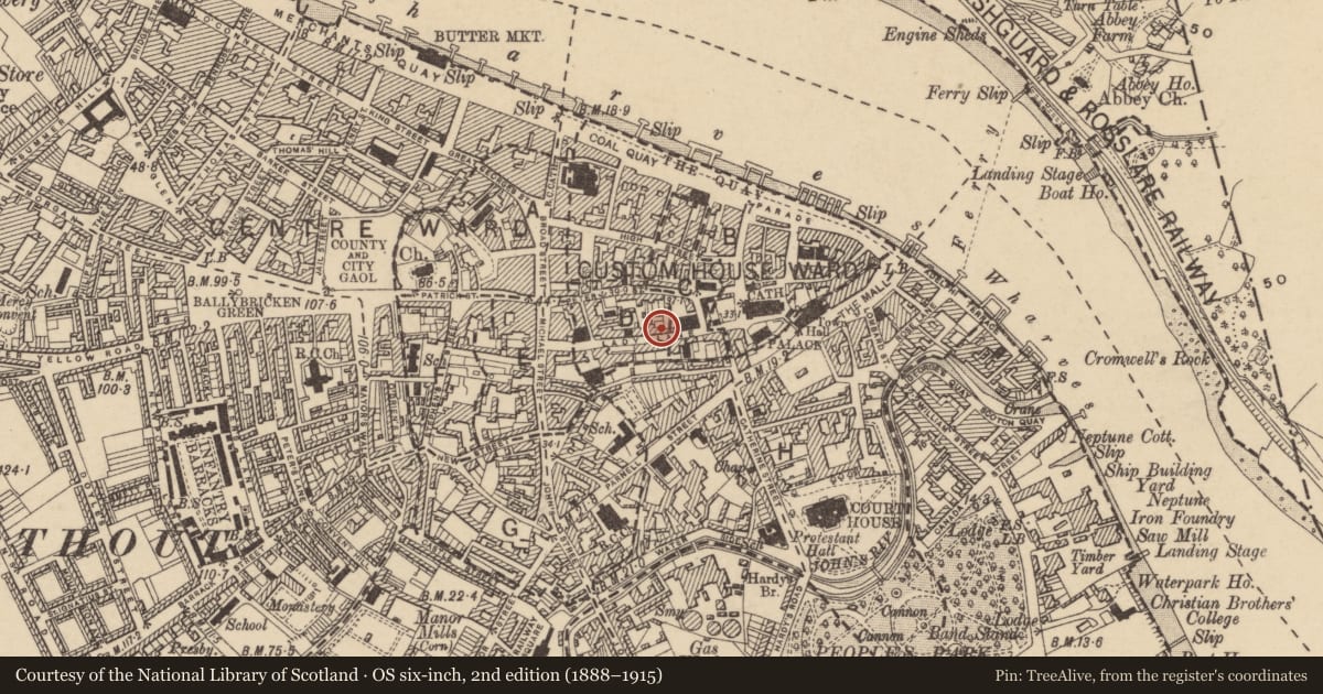 Ordnance Survey six-inch map, 2nd edition (1888–1915) covering the location of Graveslab, Waterford City, County Waterford, with a pin at the register's coordinates