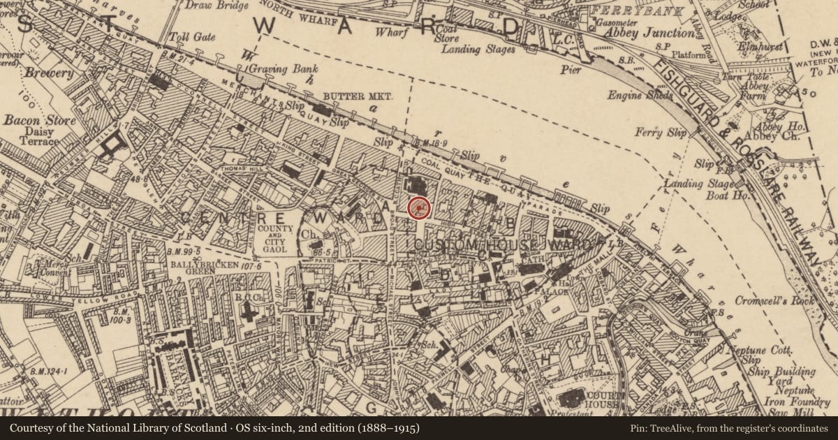 Ordnance Survey six-inch map, 2nd edition (1888–1915) covering the location of Tomb - effigial, Waterford City, County Waterford, with a pin at the register's coordinates