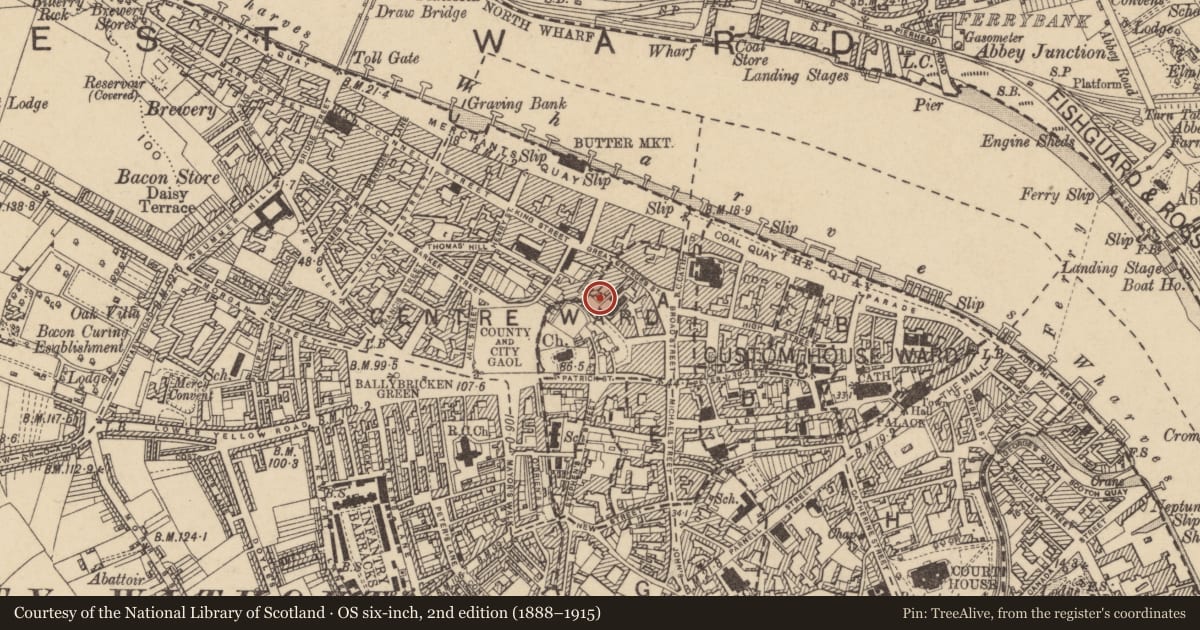Ordnance Survey six-inch map, 2nd edition (1888–1915) covering the location of Excavation - miscellaneous, Waterford City, County Waterford, with a pin at the register's coordinates