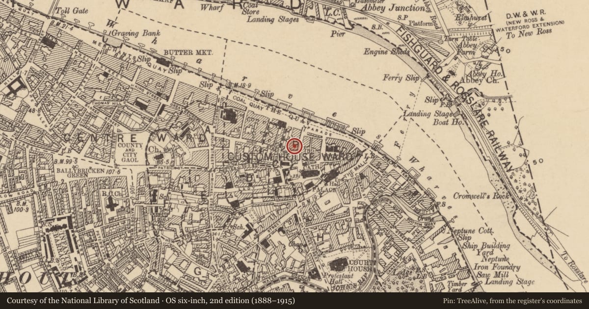 Ordnance Survey six-inch map, 2nd edition (1888–1915) covering the location of House - medieval, Waterford City, County Waterford, with a pin at the register's coordinates