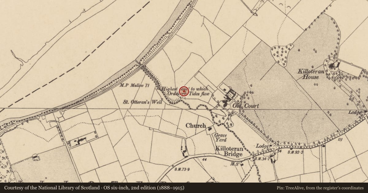 Ordnance Survey six-inch map, 2nd edition (1888–1915) covering the location of Enclosure, Woodstown (Middlethird By., Killoteran Par.), County Waterford, with a pin at the register's coordinates