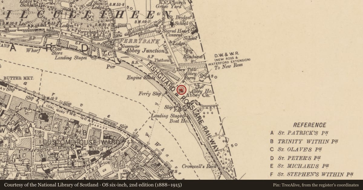 Ordnance Survey six-inch map, 2nd edition (1888–1915) covering the location of Religious house - Augustinian, of Arrouaise nuns, Abbeylands, County Waterford, with a pin at the register's coordinates