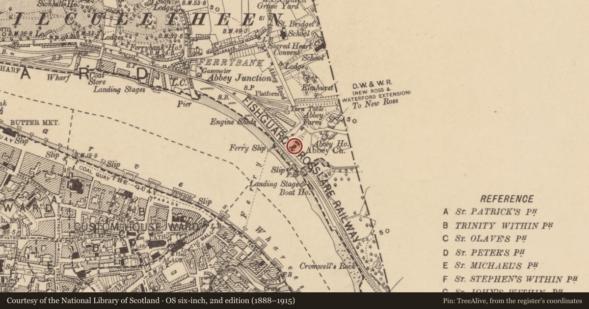 Ordnance Survey six-inch map, 2nd edition (1888–1915) covering the location of Graveyard, Abbeylands, County Waterford, with a pin at the register's coordinates