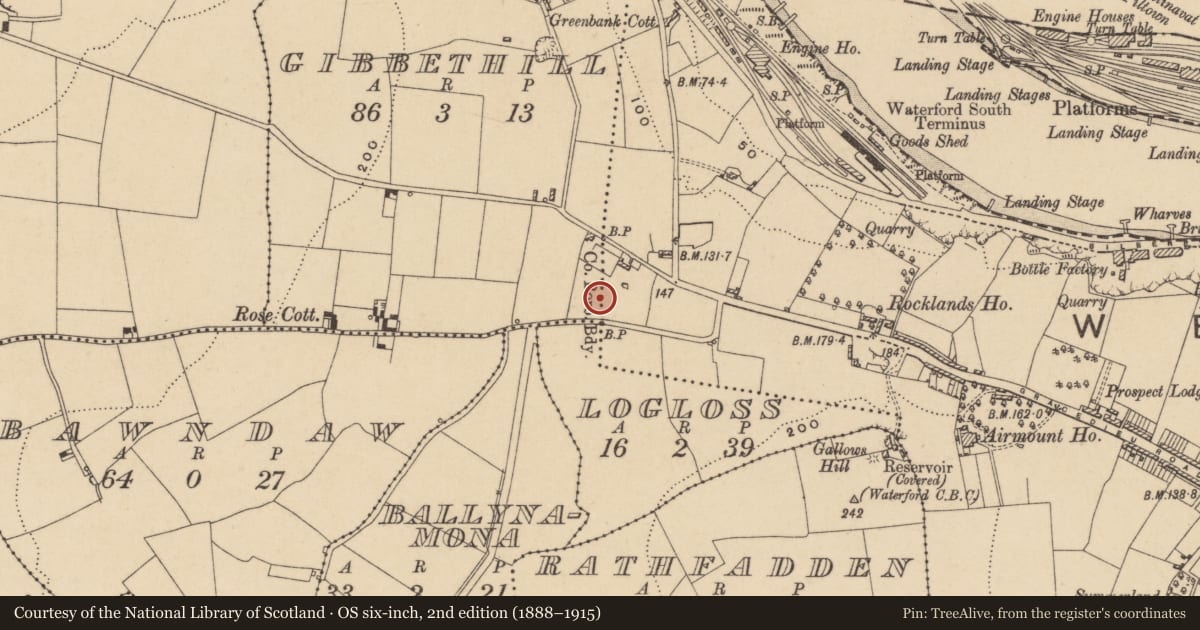 Ordnance Survey six-inch map, 2nd edition (1888–1915) covering the location of Standing stone, Gibbethill, County Waterford, with a pin at the register's coordinates