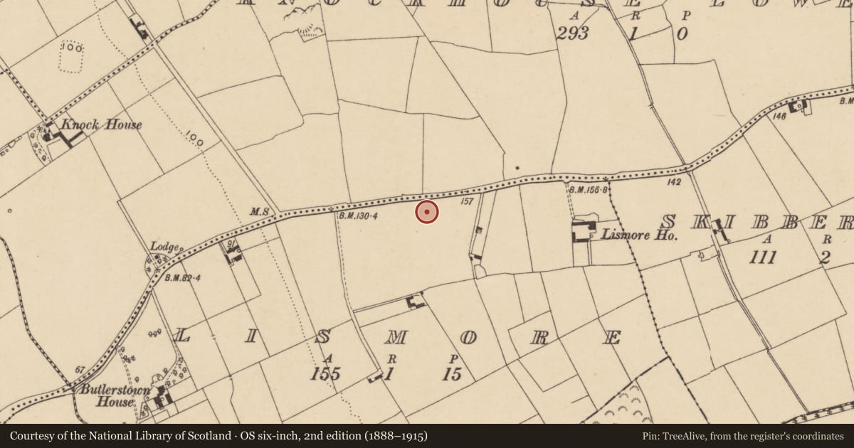 Ordnance Survey six-inch map, 2nd edition (1888–1915) covering the location of Enclosure, Lismore, County Waterford, with a pin at the register's coordinates