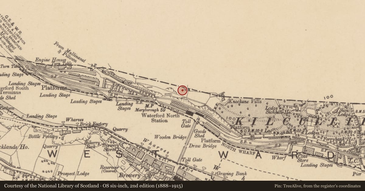Ordnance Survey six-inch map, 2nd edition (1888–1915) covering the location of Standing stone, Mountmisery, County Waterford, with a pin at the register's coordinates