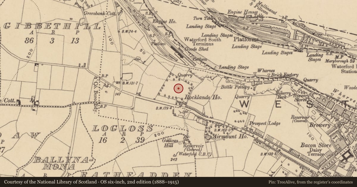 Ordnance Survey six-inch map, 2nd edition (1888–1915) covering the location of Standing stone, Waterford City, County Waterford, with a pin at the register's coordinates