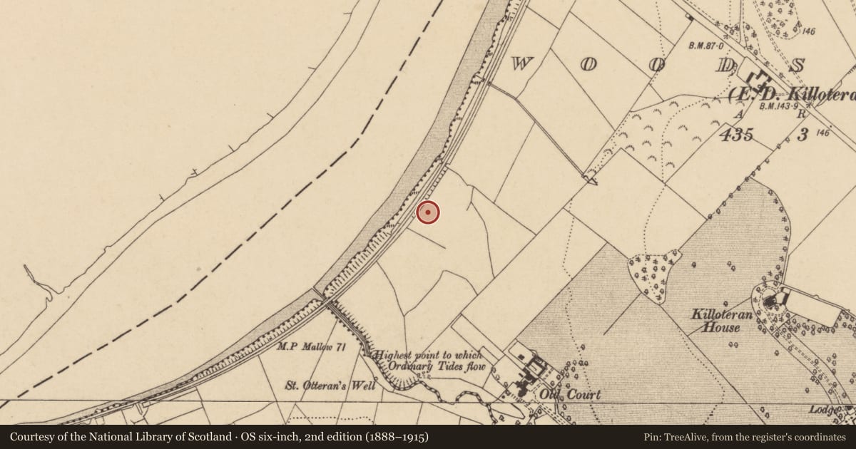 Ordnance Survey six-inch map, 2nd edition (1888–1915) covering the location of Enclosure, Woodstown (Middlethird By., Killoteran Par.), County Waterford, with a pin at the register's coordinates