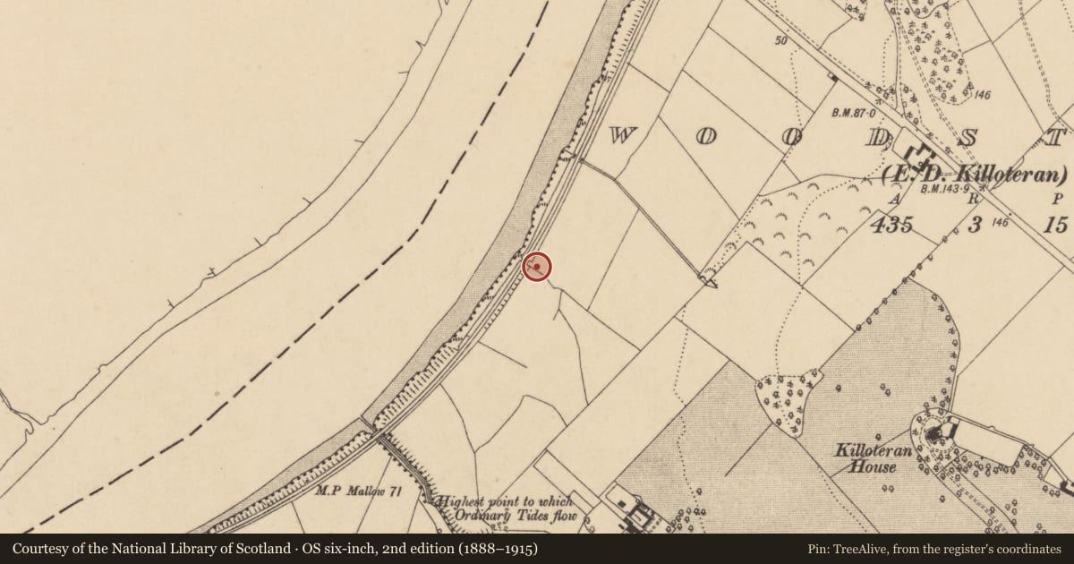 Ordnance Survey six-inch map, 2nd edition (1888–1915) covering the location of Burial, Woodstown (Middlethird By., Killoteran Par.), County Waterford, with a pin at the register's coordinates