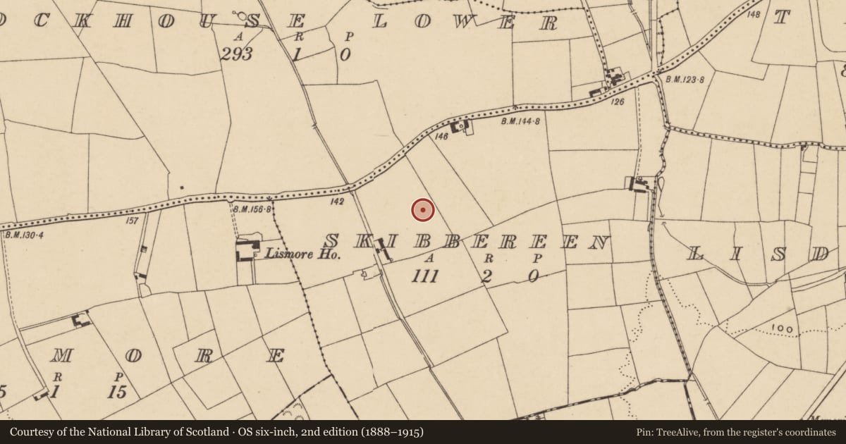 Ordnance Survey six-inch map, 2nd edition (1888–1915) covering the location of Excavation - miscellaneous, Skibbereen, County Waterford, with a pin at the register's coordinates