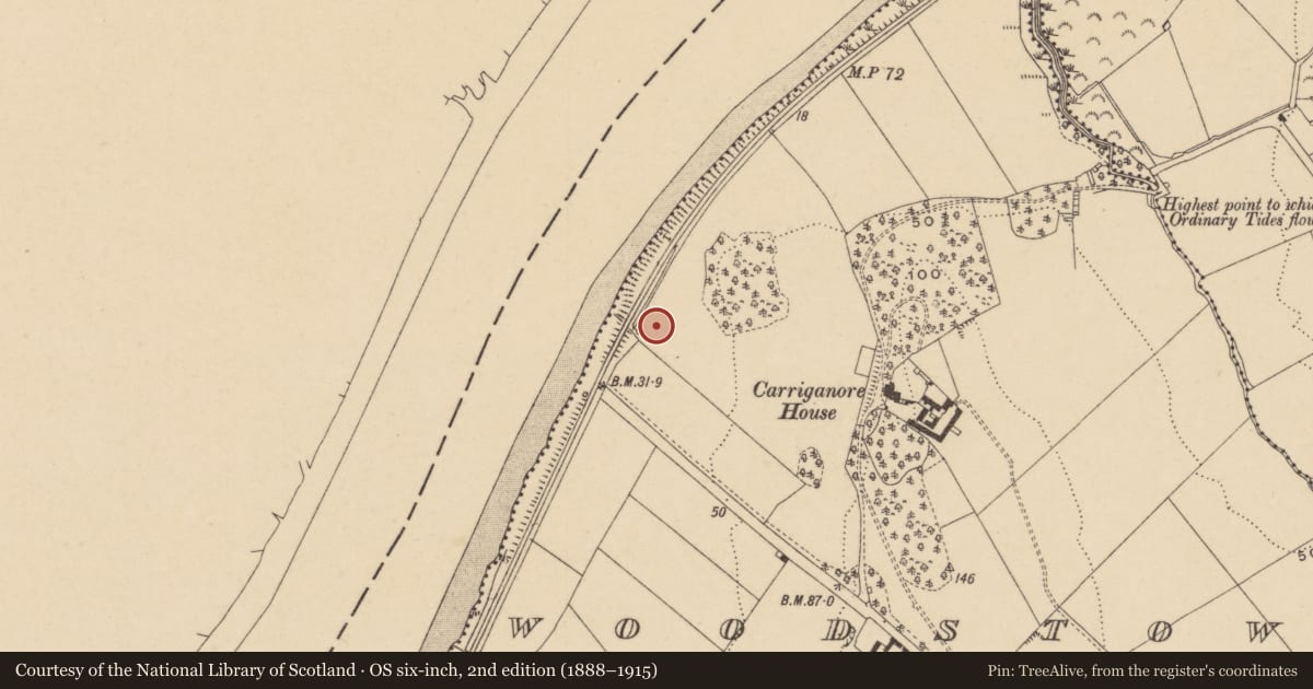 Ordnance Survey six-inch map, 2nd edition (1888–1915) covering the location of Fulacht fia, Woodstown (Middlethird By., Killoteran Par.), County Waterford, with a pin at the register's coordinates