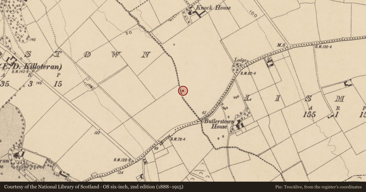 Ordnance Survey six-inch map, 2nd edition (1888–1915) covering the location of Fulacht fia, Knockhouse Lower, County Waterford, with a pin at the register's coordinates