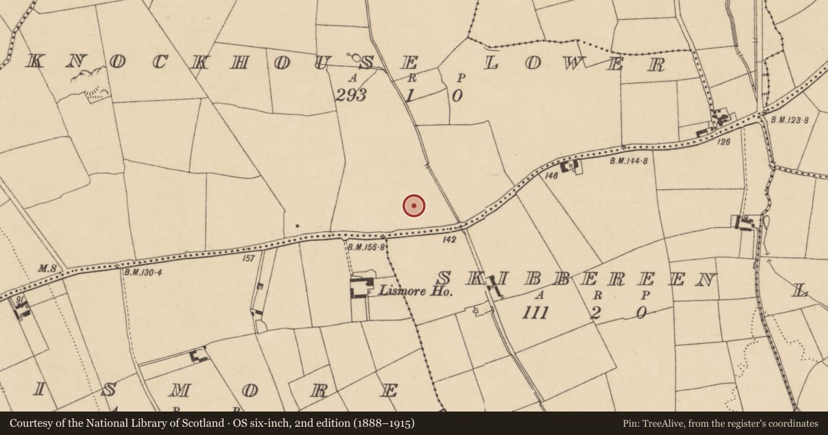 Ordnance Survey six-inch map, 2nd edition (1888–1915) covering the location of Habitation site, Knockhouse Lower, County Waterford, with a pin at the register's coordinates