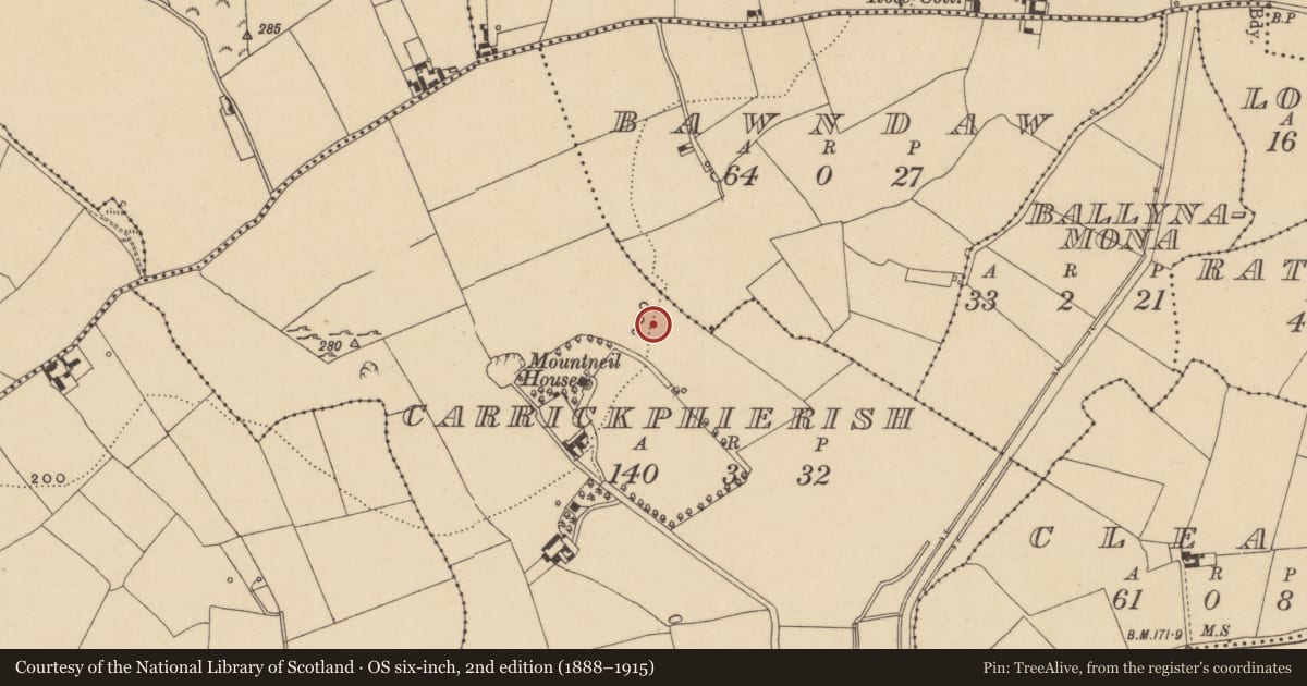 Ordnance Survey six-inch map, 2nd edition (1888–1915) covering the location of Excavation - miscellaneous, Carrickphierish, County Waterford, with a pin at the register's coordinates