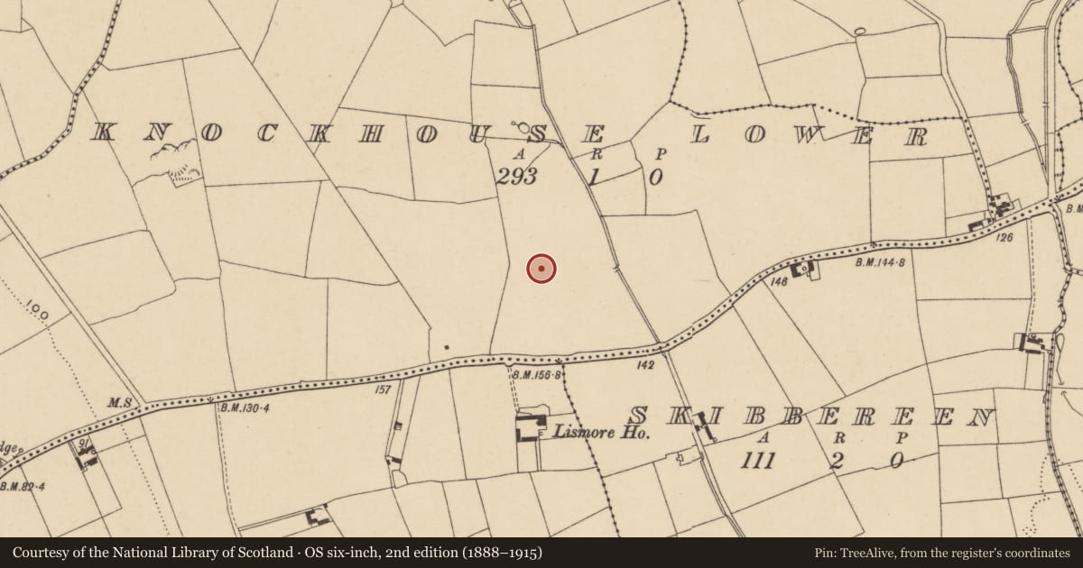 Ordnance Survey six-inch map, 2nd edition (1888–1915) covering the location of Enclosure, Knockhouse Lower, County Waterford, with a pin at the register's coordinates