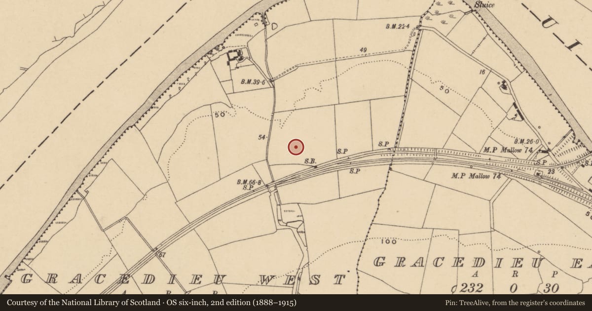 Ordnance Survey six-inch map, 2nd edition (1888–1915) covering the location of Excavation - miscellaneous, Gracedieu West, County Waterford, with a pin at the register's coordinates