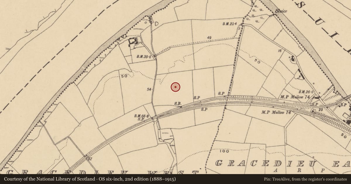 Ordnance Survey six-inch map, 2nd edition (1888–1915) covering the location of Excavation - miscellaneous, Gracedieu West, County Waterford, with a pin at the register's coordinates