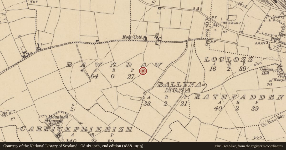 Ordnance Survey six-inch map, 2nd edition (1888–1915) covering the location of Excavation - miscellaneous, Bawndaw, County Waterford, with a pin at the register's coordinates