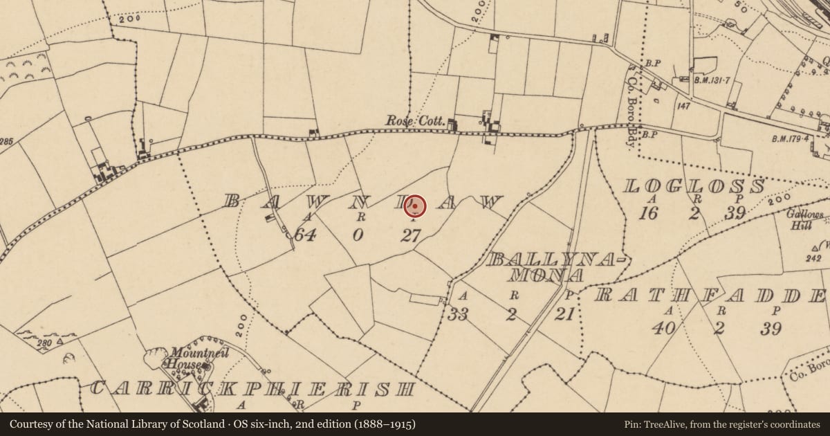 Ordnance Survey six-inch map, 2nd edition (1888–1915) covering the location of Excavation - miscellaneous, Bawndaw, County Waterford, with a pin at the register's coordinates