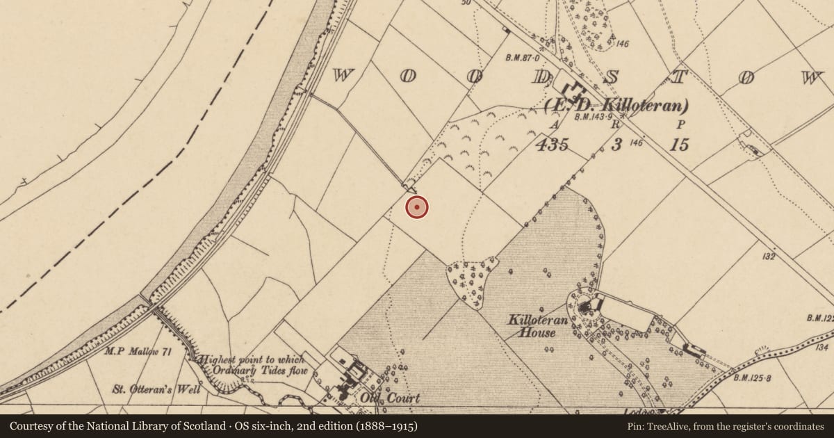 Ordnance Survey six-inch map, 2nd edition (1888–1915) covering the location of Fulacht fia, Woodstown (Middlethird By., Killoteran Par.), County Waterford, with a pin at the register's coordinates