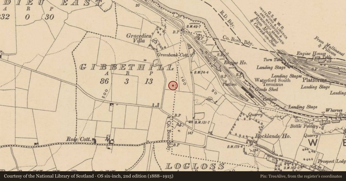 Ordnance Survey six-inch map, 2nd edition (1888–1915) covering the location of Excavation - miscellaneous, Gibbethill, County Waterford, with a pin at the register's coordinates