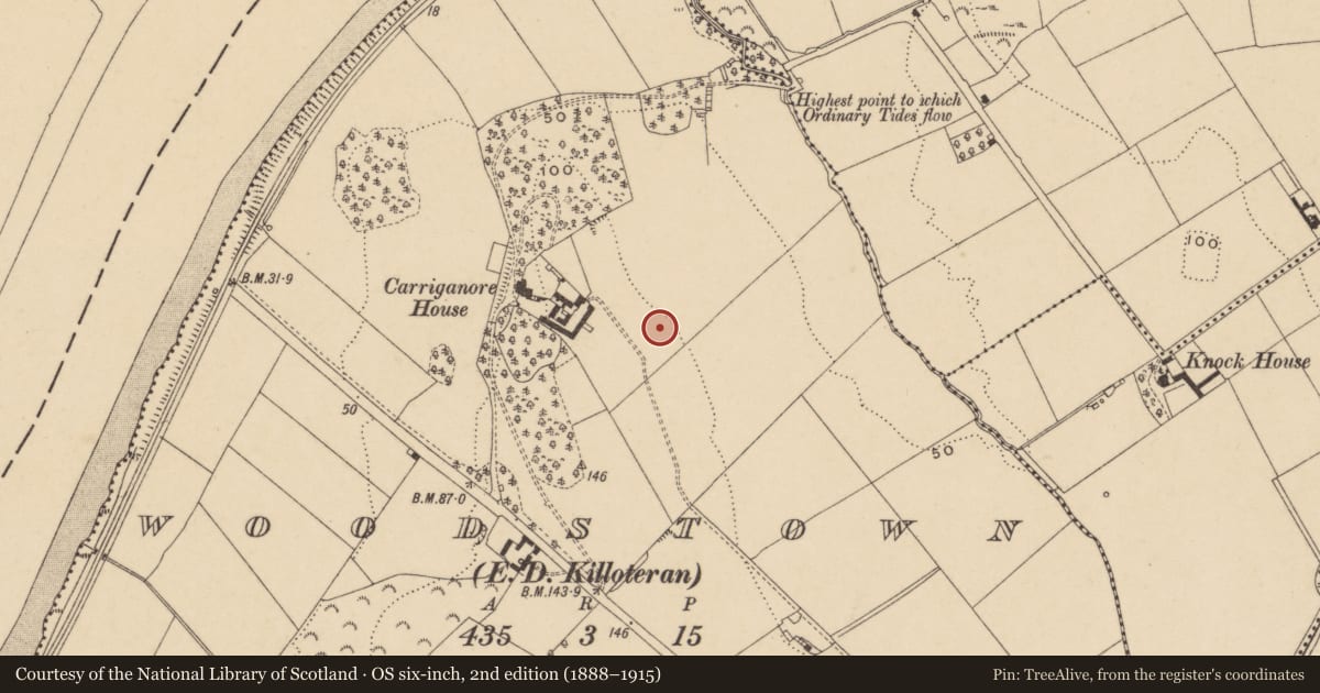 Ordnance Survey six-inch map, 2nd edition (1888–1915) covering the location of Excavation - miscellaneous, Woodstown (Middlethird By., Killoteran Par.), County Waterford, with a pin at the register's coordinates