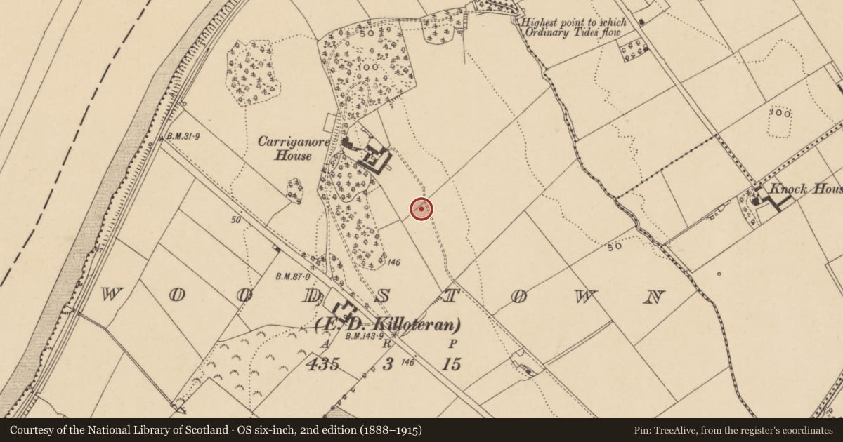 Ordnance Survey six-inch map, 2nd edition (1888–1915) covering the location of Excavation - miscellaneous, Woodstown (Middlethird By., Killoteran Par.), County Waterford, with a pin at the register's coordinates