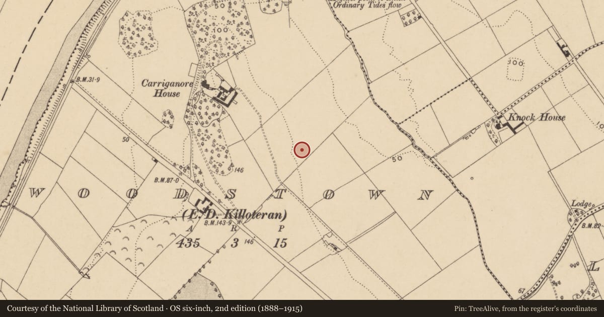 Ordnance Survey six-inch map, 2nd edition (1888–1915) covering the location of Excavation - miscellaneous, Woodstown (Middlethird By., Killoteran Par.), County Waterford, with a pin at the register's coordinates