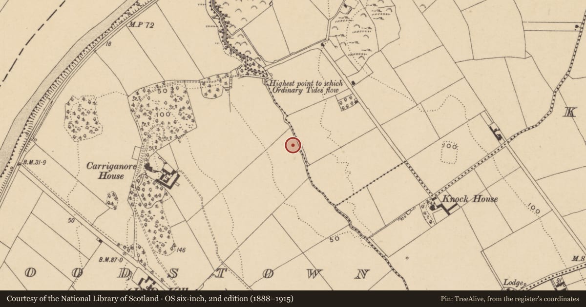 Ordnance Survey six-inch map, 2nd edition (1888–1915) covering the location of Excavation - miscellaneous, Woodstown (Middlethird By., Killoteran Par.), County Waterford, with a pin at the register's coordinates