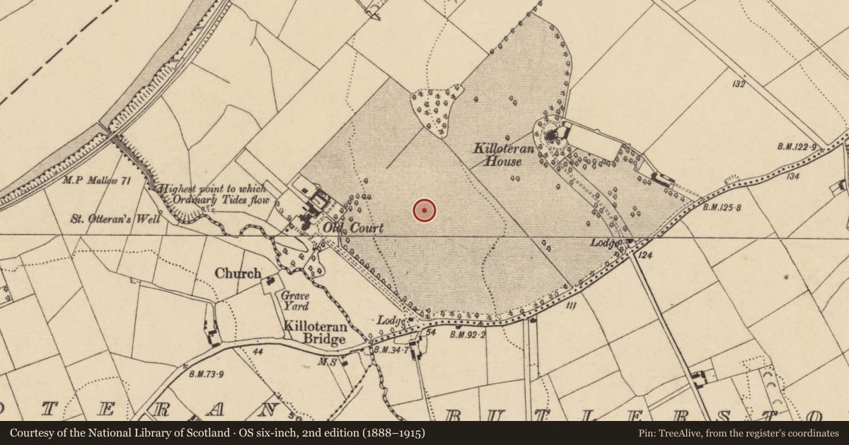 Ordnance Survey six-inch map, 2nd edition (1888–1915) covering the location of Excavation - miscellaneous, Woodstown (Middlethird By., Killoteran Par.), County Waterford, with a pin at the register's coordinates