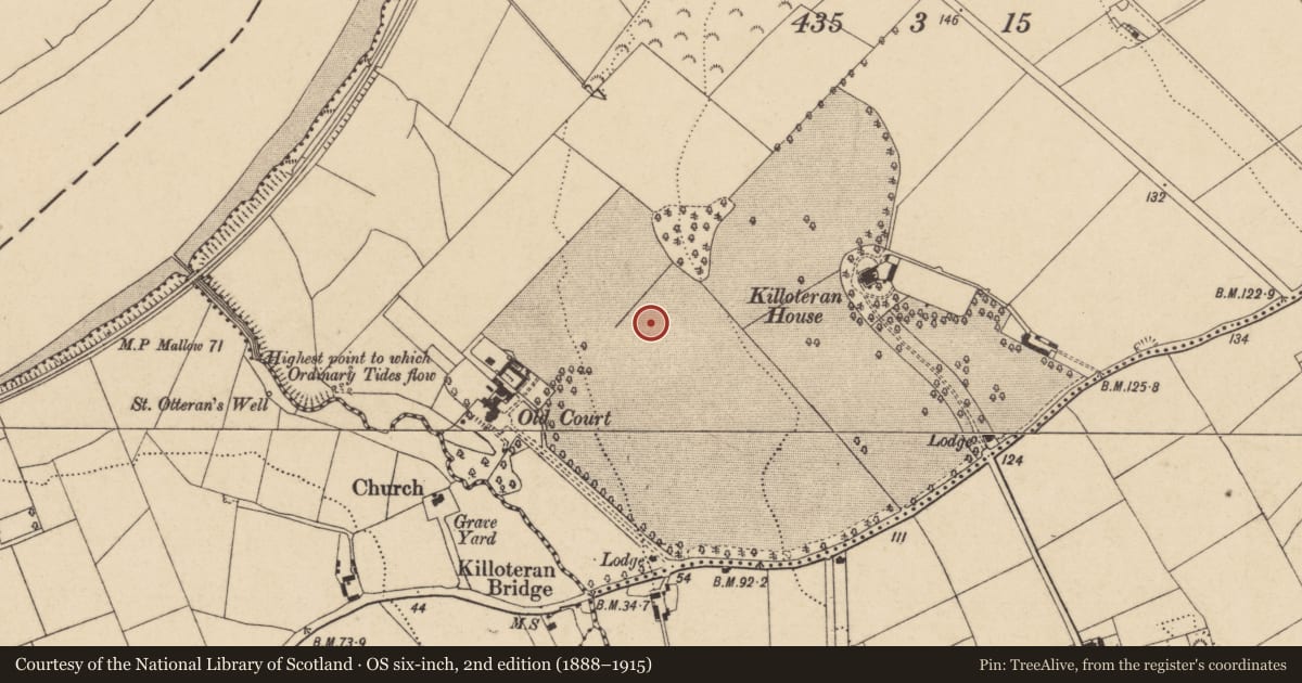 Ordnance Survey six-inch map, 2nd edition (1888–1915) covering the location of Excavation - miscellaneous, Woodstown (Middlethird By., Killoteran Par.), County Waterford, with a pin at the register's coordinates