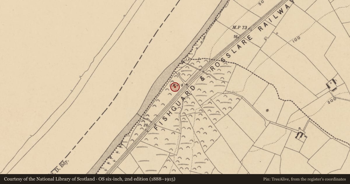 Ordnance Survey six-inch map, 2nd edition (1888–1915) covering the location of Hearth, Knockhouse Upper, County Waterford, with a pin at the register's coordinates