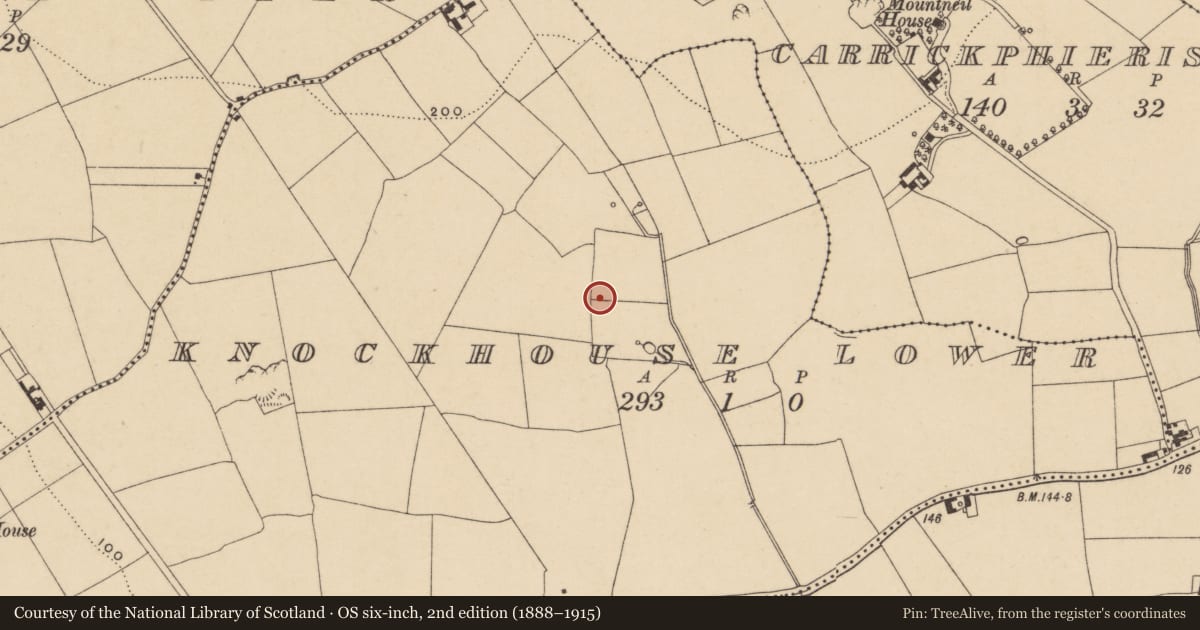 Ordnance Survey six-inch map, 2nd edition (1888–1915) covering the location of Burnt mound, Knockhouse Lower, County Waterford, with a pin at the register's coordinates