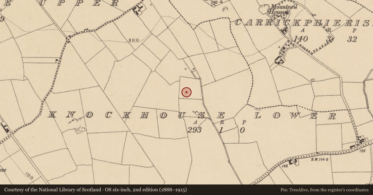 Ordnance Survey six-inch map, 2nd edition (1888–1915) covering the location of Burnt mound, Knockhouse Lower, County Waterford, with a pin at the register's coordinates