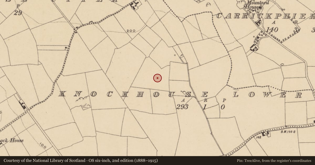 Ordnance Survey six-inch map, 2nd edition (1888–1915) covering the location of Kiln, Knockhouse Lower, County Waterford, with a pin at the register's coordinates